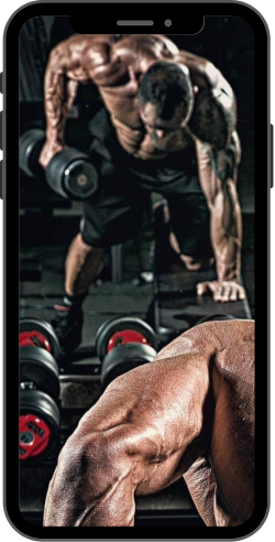 Memou Fitness Club Gym Club App